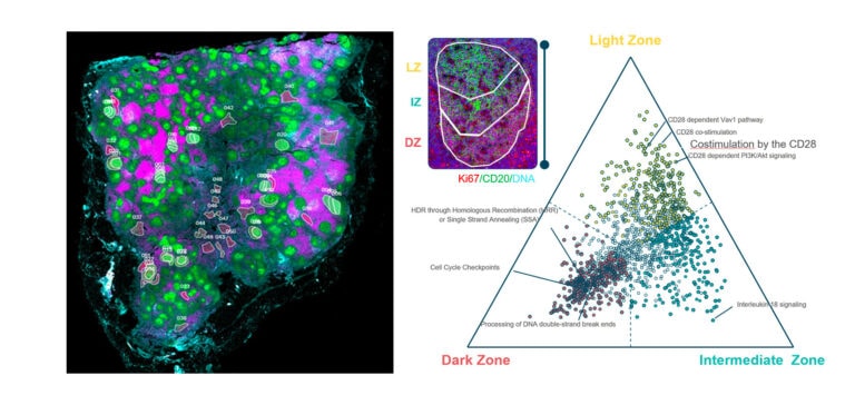GeoMx DSP Spatial Genomics Overview - NanoString