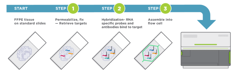 CosMx SMI Overview - Single-Cell Imaging - NanoString